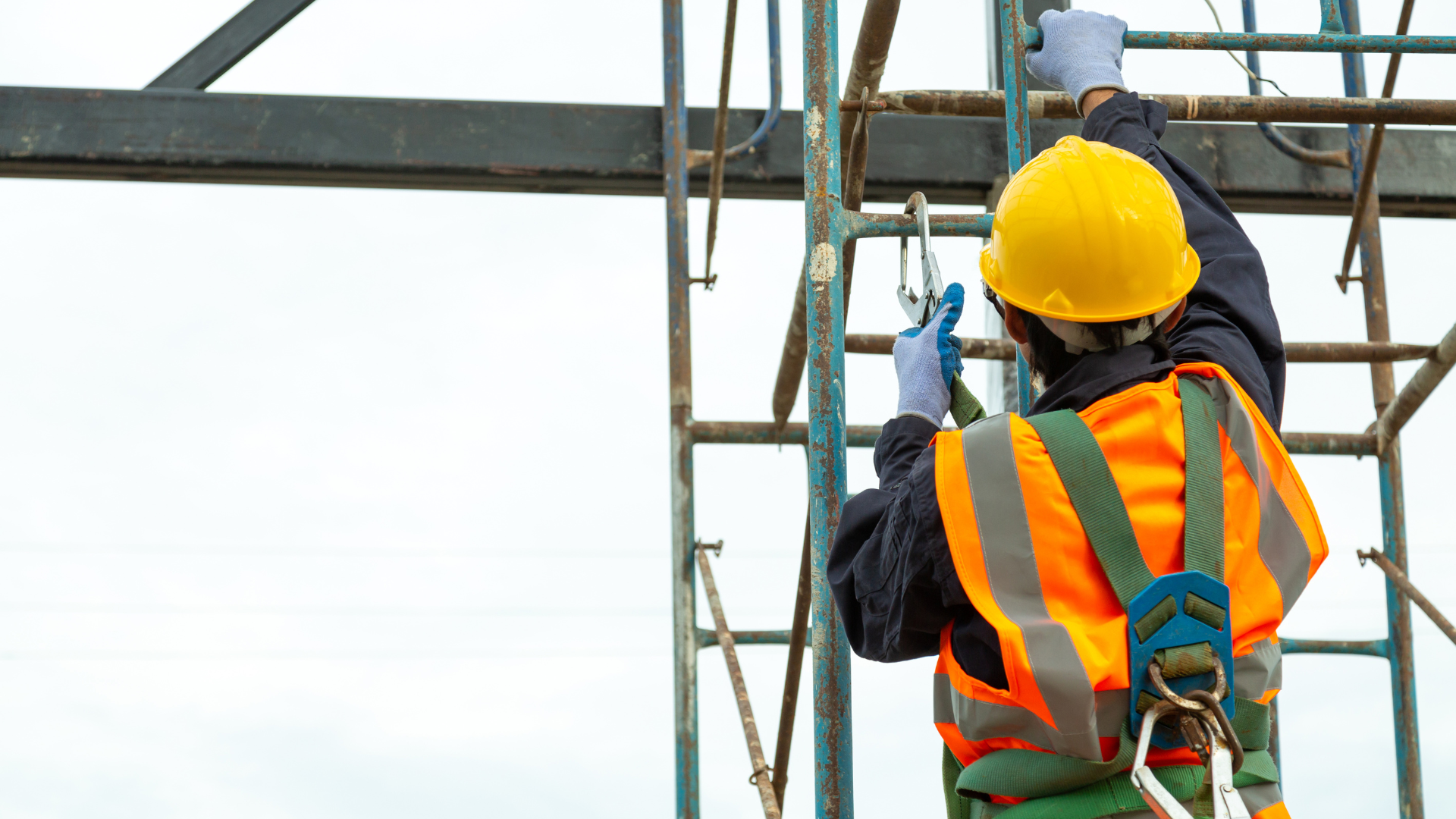 Operador de Manejo de Viñedos
